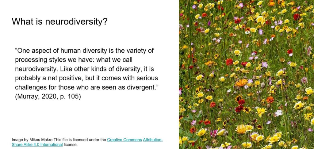 A slide on neurodiversity. It shows a picture of a meadow, and a quote by Murray: “One aspect of human diversity is the variety of processing styles we have: what we call neurodiversity. Like other kinds of diversity, it is probably a net positive, but it comes with serious challenges for those who are seen as divergent.” 